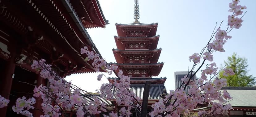 A Personal Journey Through Japan’s Castles and Cities